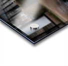 Joy Unleashed - French Bulldog Splash Art Prints Acrylic print