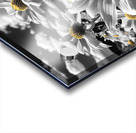 Motion Blur - Abstract Floral Motion Art Prints Acrylic print