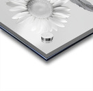 Sunflower Selfie 7 - Sunflower Portrait Art Prints Acrylic print