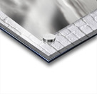 Hope In Contrast - Minimal Sunflower Art Prints Acrylic print