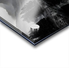 The Mirror Of Solitude - Monochrome Landscape Art Prints Acrylic print