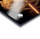 Crowned Silence – Lion Reflection Print Acrylic print