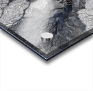 Veins of Time – Black and Gold Tree Abstract Print Acrylic print