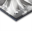 Sky Whisper – Monochrome Daisy Under Clouds Acrylic print