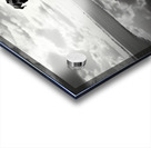 Lost in My Eyes – Monochrome Coastal Dog Photography Print Acrylic print