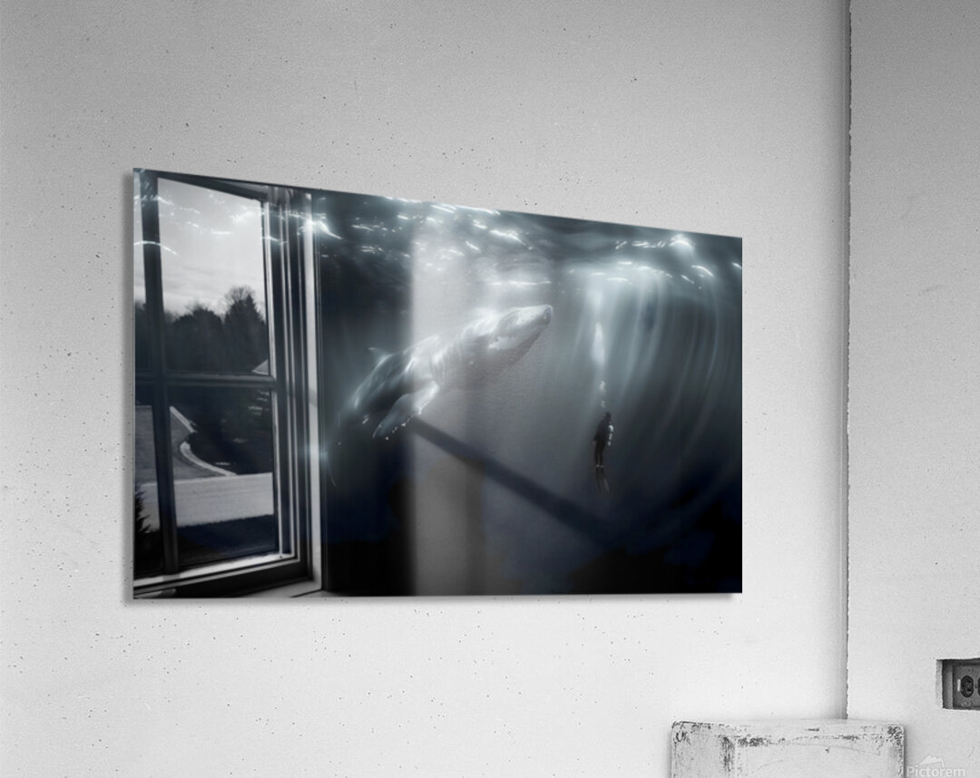 In the Presence of Majesty - Underwater Whale and Diver Art Prints Acrylic Print