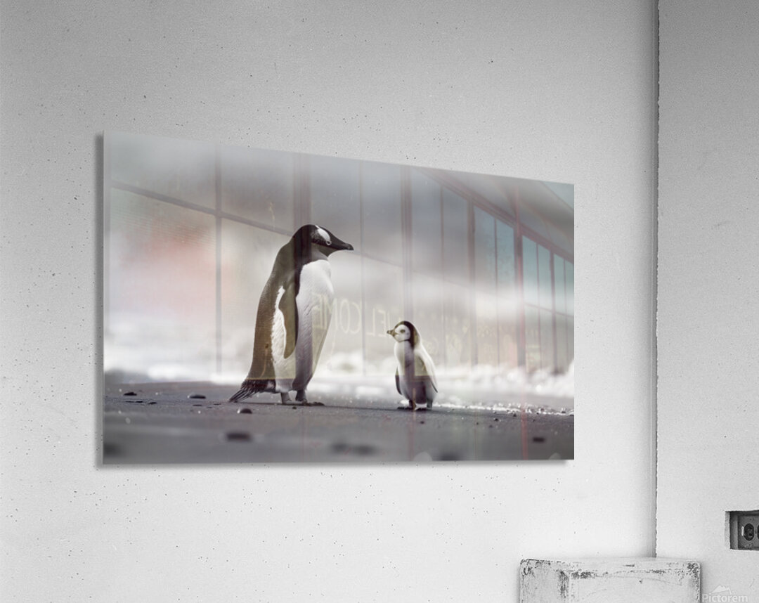 Under His Wings - Inspirational Monochrome Art Prints Acrylic Print