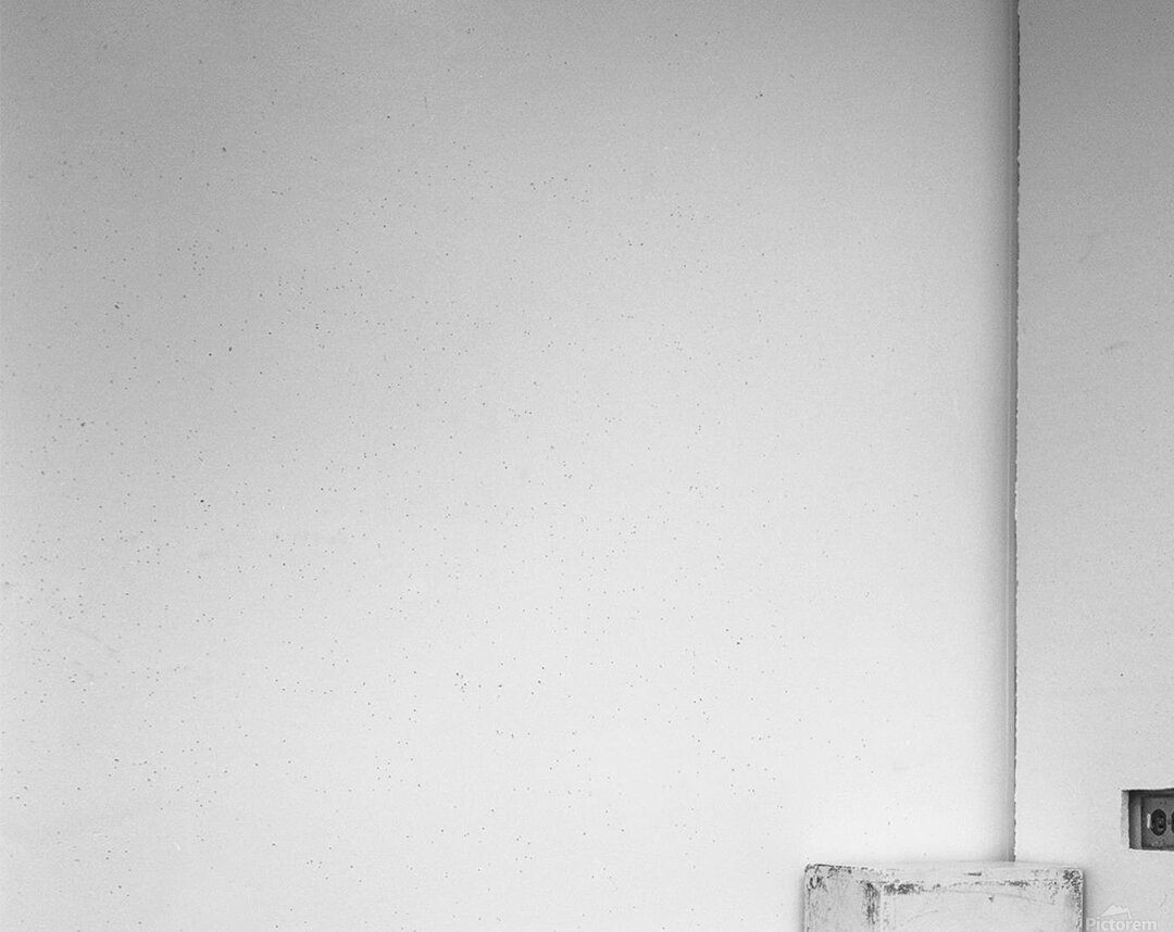 Sans Couleur - Without Color - Monochrome Floral Art Prints Acrylic Print