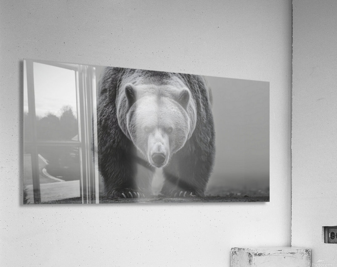 Apex Predator – Bear Portrait Art Print Acrylic Print