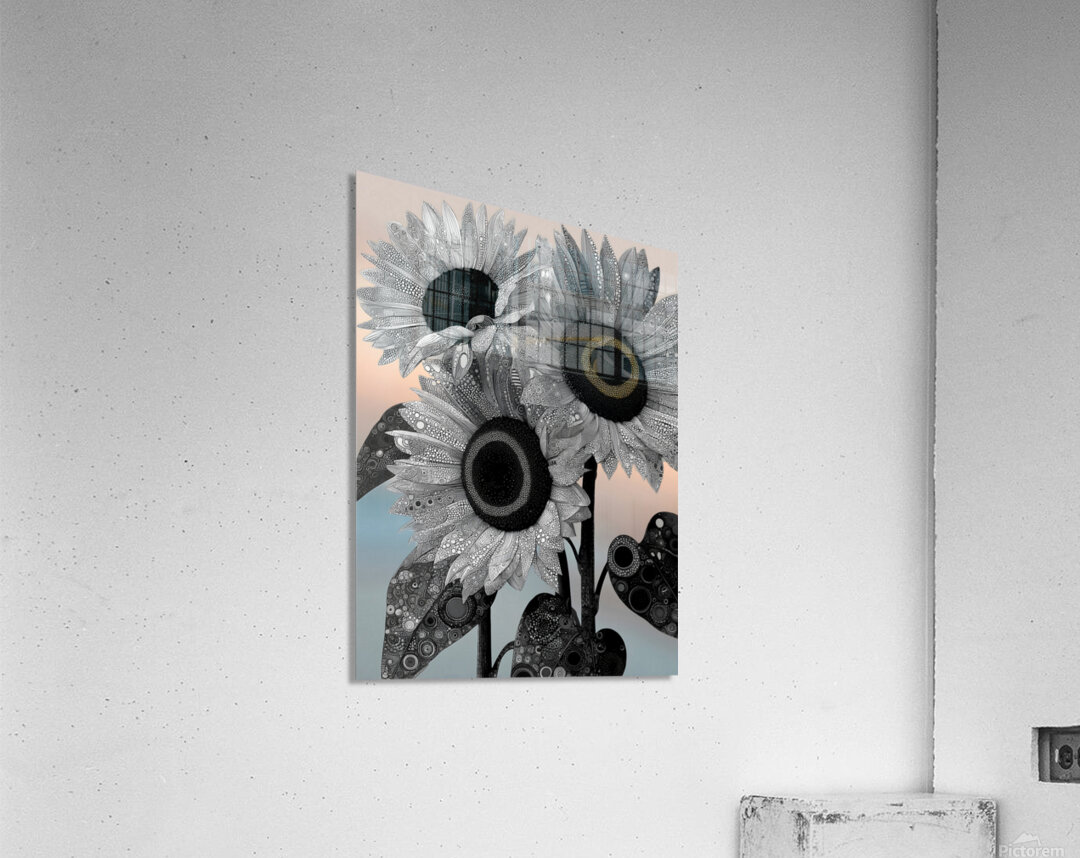Ink & Ivory Sunflowers – Black & White Floral Art Print Acrylic Print