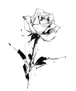 Sketch Rose – Minimalist Botanical Print