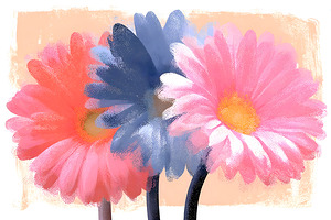 Cotton Candy Gerbera – Pink Blue Daisy Print