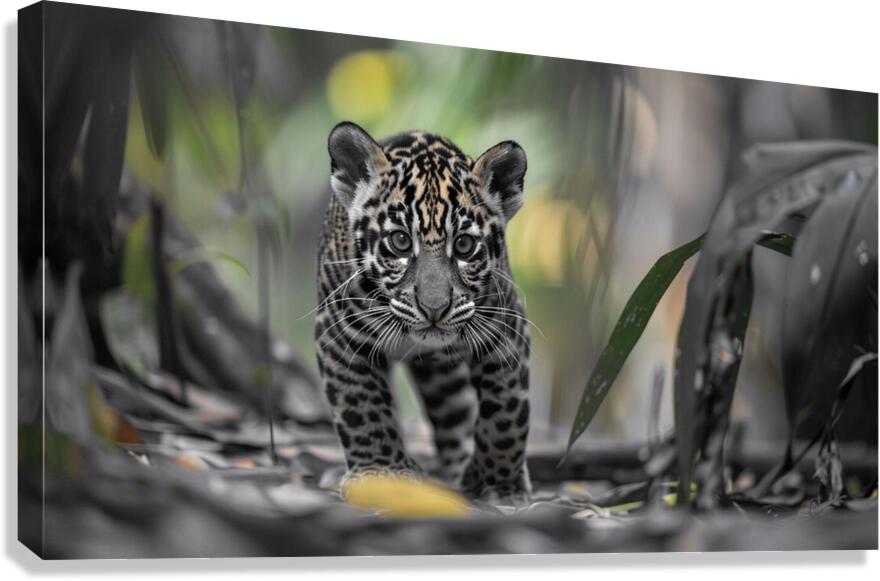 Innocent Innocent Prowler - Wild Feline Portrait Art Prints Canvas Print