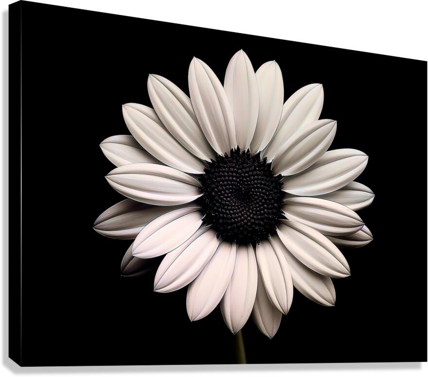 Petal Perspective 31 - Macro Floral Art Prints Canvas Print