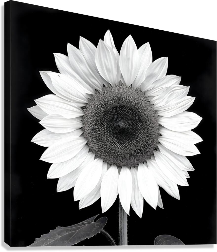 Sunflower Selfie 10 - Sunflower Portrait Art Prints Canvas Print