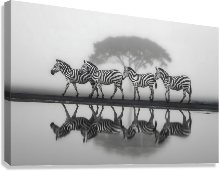 Led Beside Still Waters - Monochrome Landscape Art Prints Canvas Print