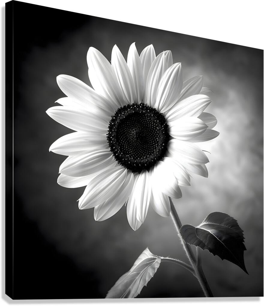 Sunflower Selfie 21 - Sunflower Portrait Art Prints Canvas Print
