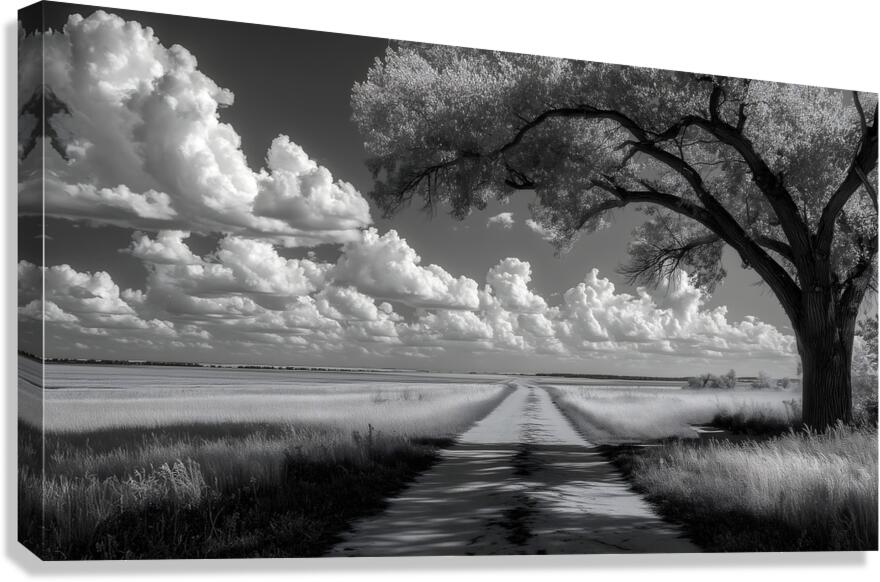 Prairie Road - Monochrome Landscape Art Prints Canvas Print