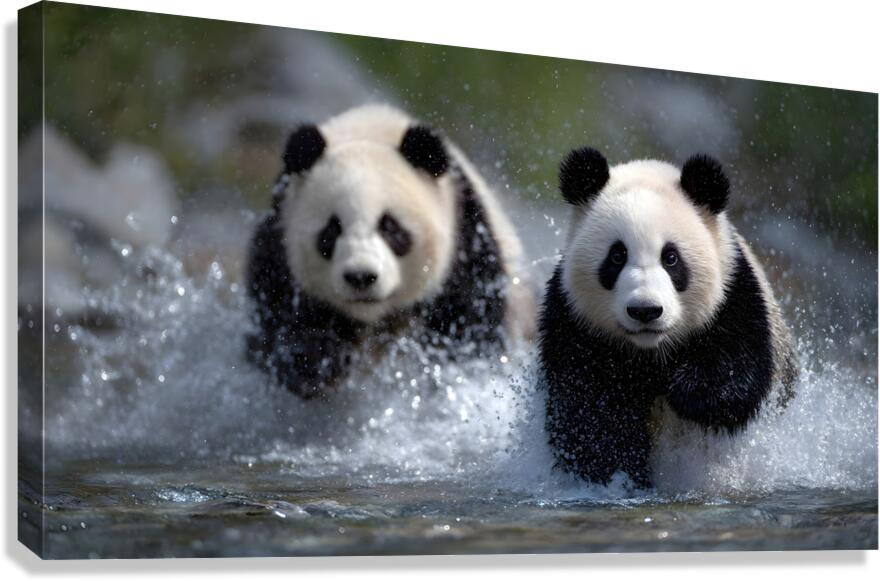 River Charge – Panda Play Print Canvas Print
