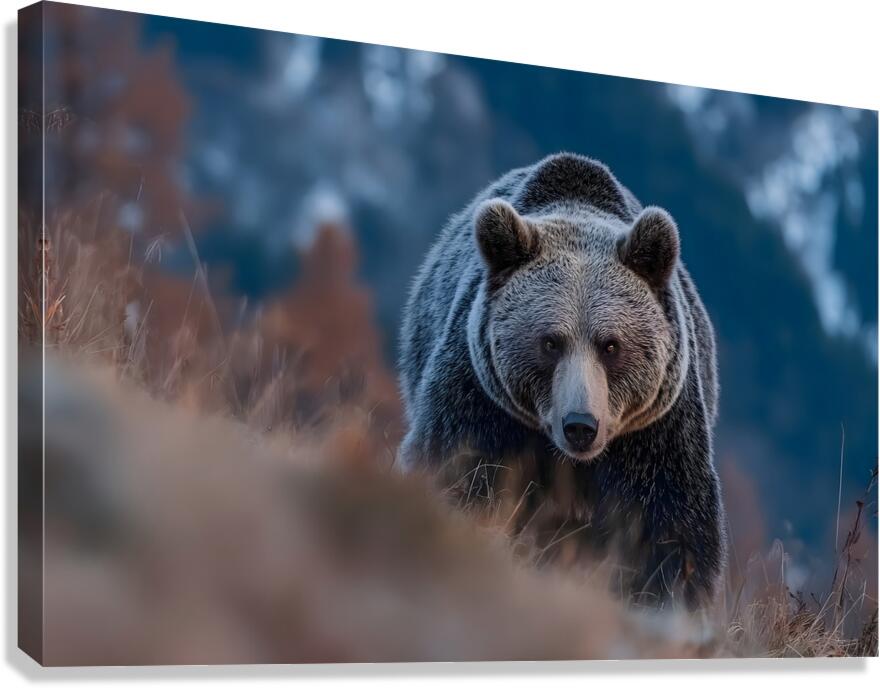 Alpine Titan – Grizzly Bear Print Canvas Print