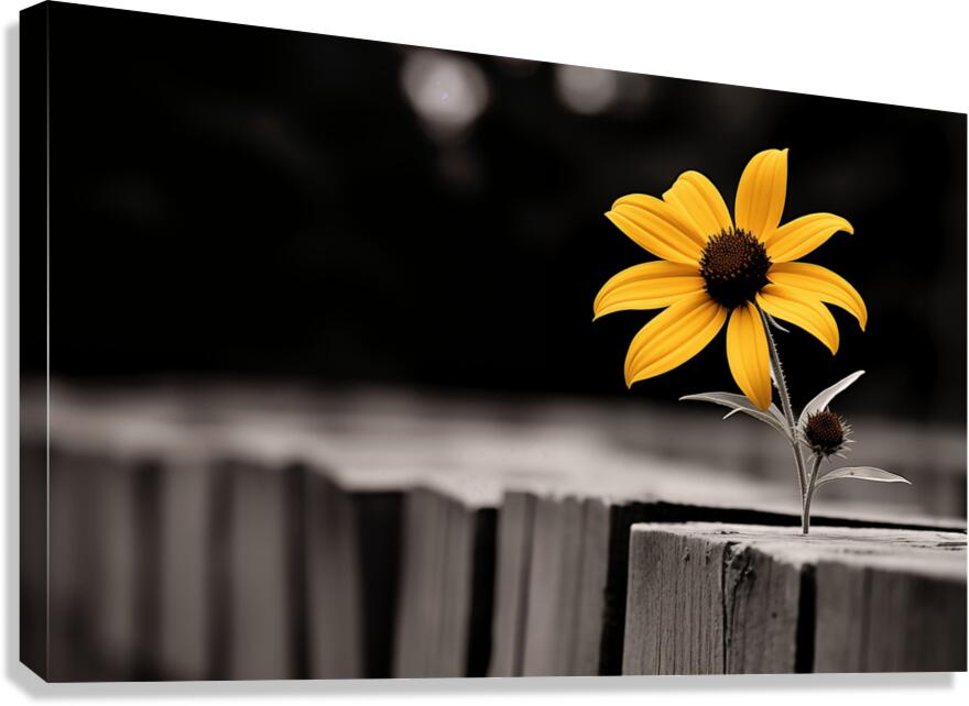 Defiant Bloom – Yellow Flower on Fence Print Canvas Print