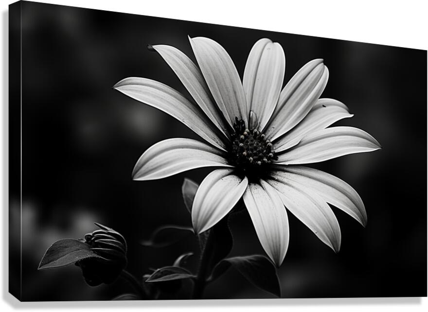 Twilight Petals – Black and White Floral Portrait Canvas Print