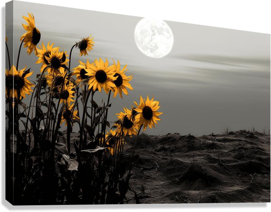 Harvest Moon – Golden Sunflowers by Moonlight Print Canvas Print