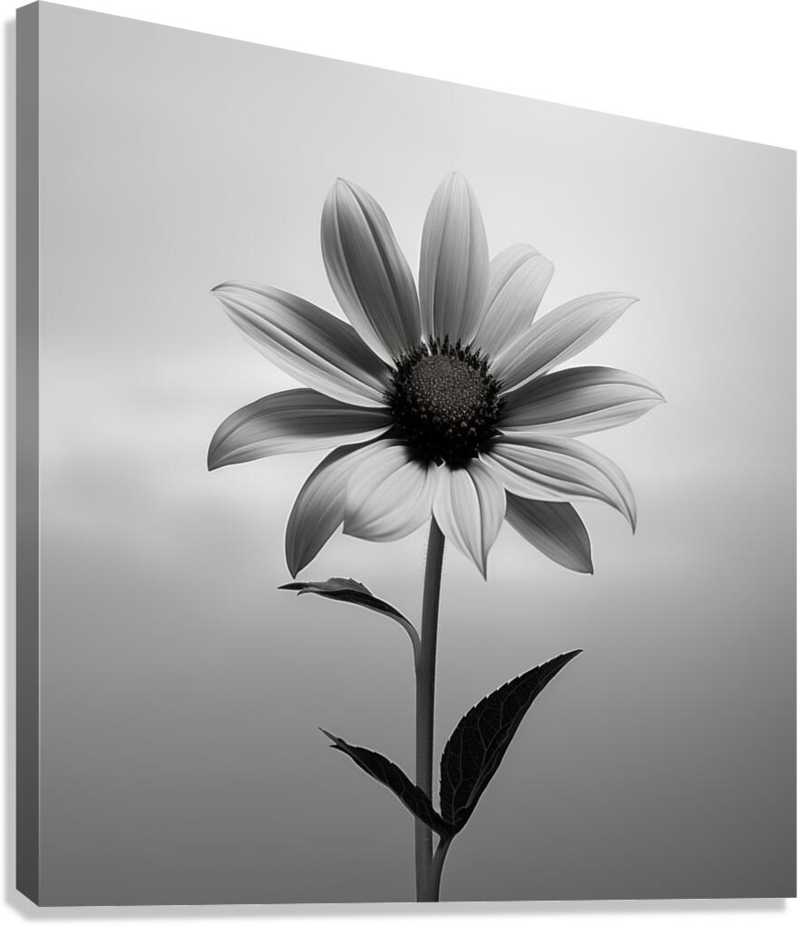 Solitary Grace – Monochrome Sunflower Portrait Print Canvas Print