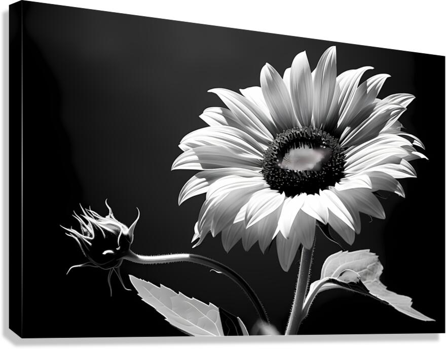 Iconic Sunflower – Golden Bloom Fine Art Print Canvas Print