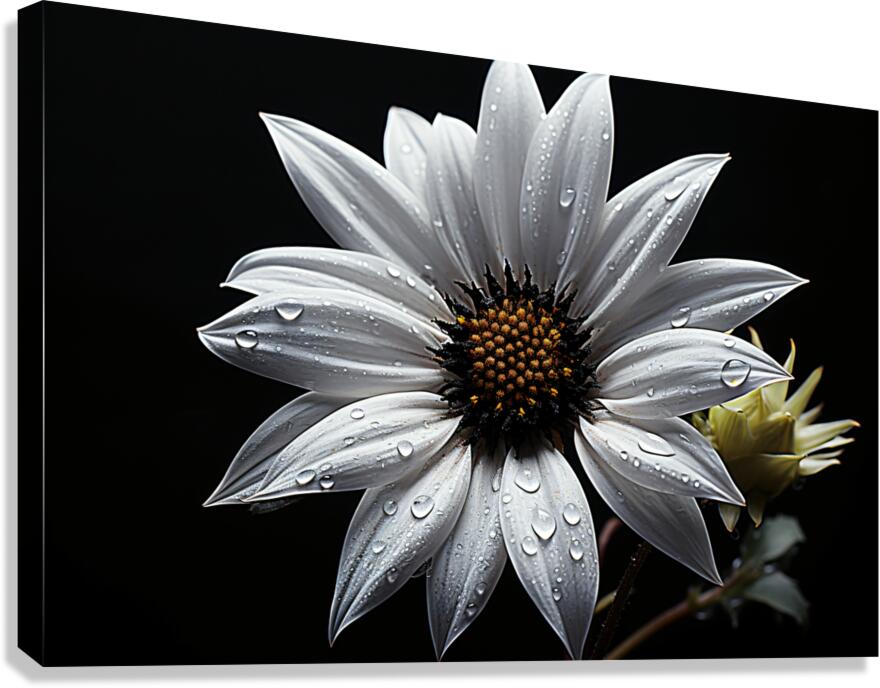 Majestic Macro – Monochrome Sunflower Close-Up Art Print Canvas Print