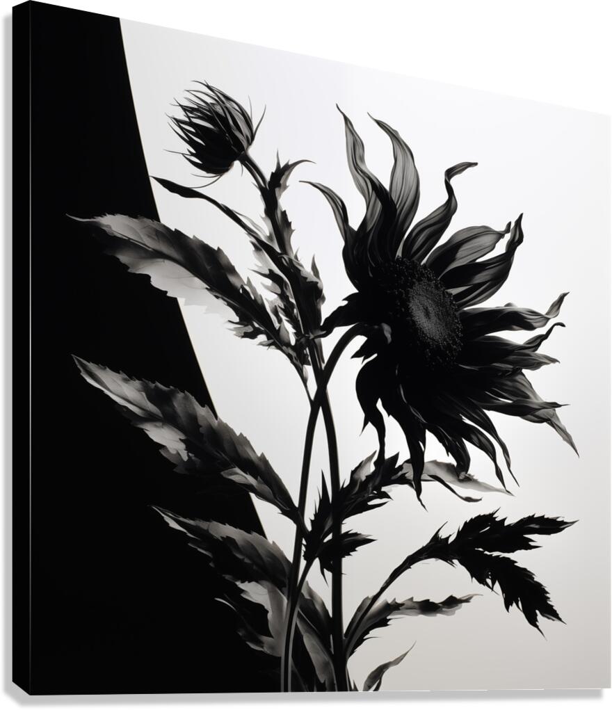 Black and White – Minimal Botanical Art Print Canvas Print