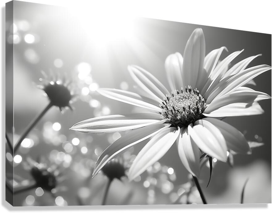 Whispers of the Sun – Minimal Daisy Art Print Canvas Print