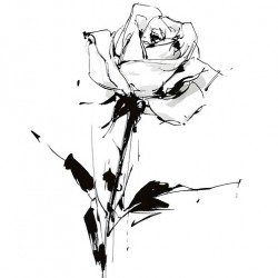 Sketch Rose – Minimalist Botanical Print