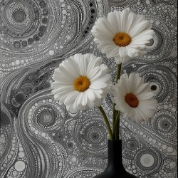 Gerbera – Daisy Flowers in Cosmic Pattern Print