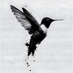 Inkflight – Monochrome Hummingbird Print