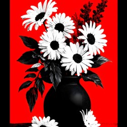 Noir Daisies – Pop Contrast Floral Print