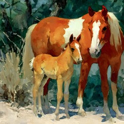 Desert Companions – Mare and Foal Western Print