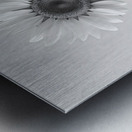 Sunflower Selfie 7 - Sunflower Portrait Art Prints Metal print