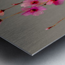 Eveil Des Petales - Awakening Of Petals - Modern Floral Art Prints Metal print