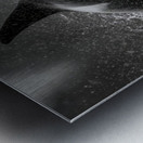 Ambush - Orca Wildlife Art Prints Metal print