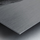 Apex Predator – Bear Portrait Art Print Metal print