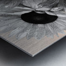 Ink & Ivory Sunflowers – Black & White Floral Art Print Metal print