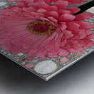 Bloom in Circles – Pink Zinnia Floral Abstract Print Metal print