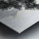 Sanctuary Root – Architectural Tree Reflection Print Metal print