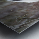 Panda Kin - Wildlife Companions Print Metal print