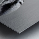 Loud and Clear – Fennec Fox Portrait Print Metal print