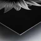 Obsidian Petals – Dark Botanical Fine Art Print Metal print