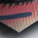 iBallin – Pop Art Print Metal print