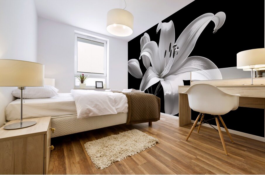 Lily Of The Light - Monochrome Lily Floral Art Prints Mural print