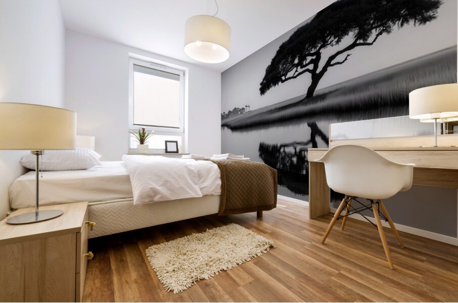 Solitude - Monochrome Landscape Art Prints Mural print